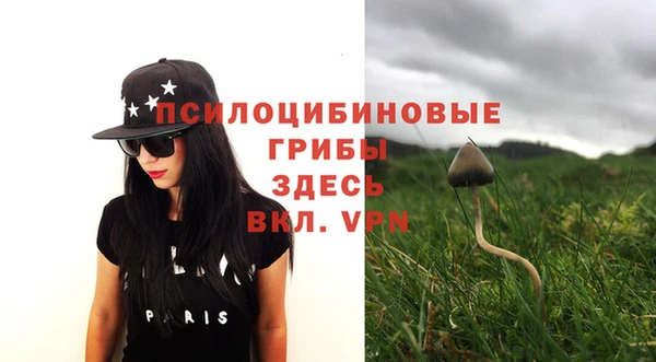 дживик Балахна