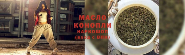 хмурый Арсеньев