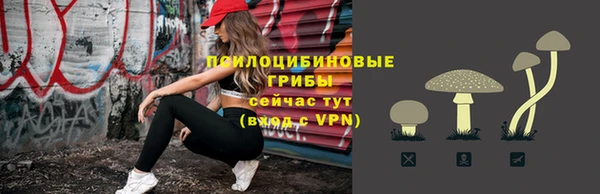 эйфоретик Баксан