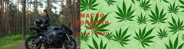 стаф Тобольск