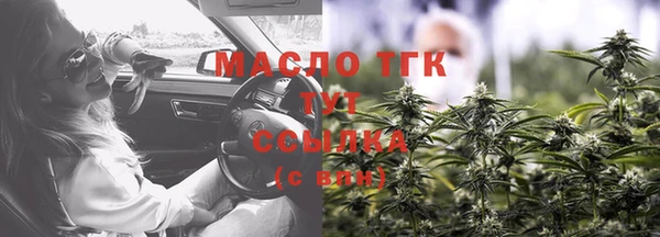 СК Пересвет