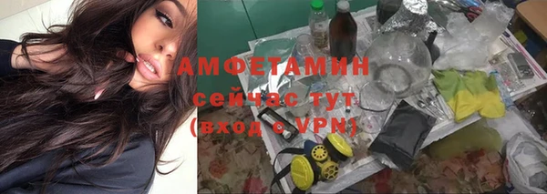 хмурый Арсеньев