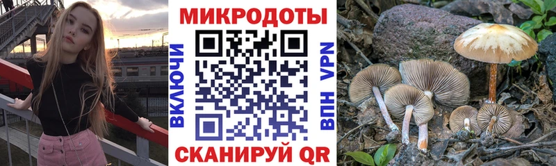 Галлюциногенные грибы прущие грибы  MEGA как войти  Таруса 